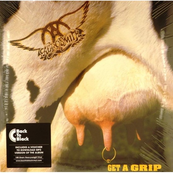 Пластинка Aerosmith Get a Grip (2 LP)