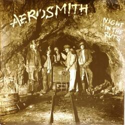 Пластинка Aerosmith Night in the Ruts