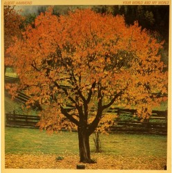 Пластинка Albert Hammond Your World and My World