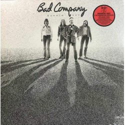 Пластинка Bad Company Burnin' Sky ( 2 LP )