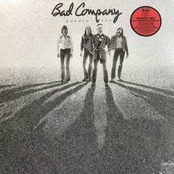 Пластинка Bad Company Burnin' Sky ( 2 LP )