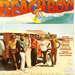 Пластинка Beach Boys Beach Boys