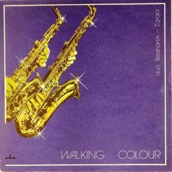 Пластинка Bednarek - Zgraja duo Walking colour