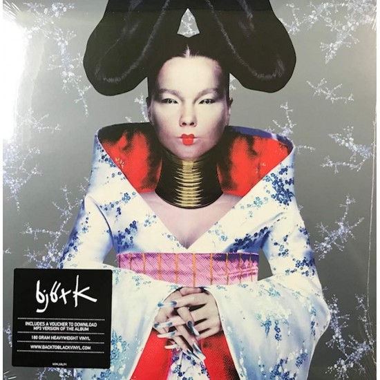 Пластинка Bjork Homogenic