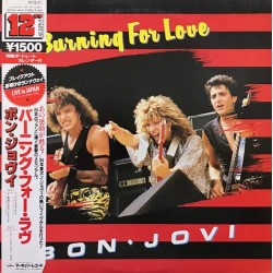 Пластинка Bon Jovi Burning for love