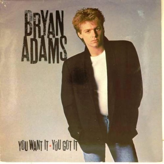 Пластинка Bryan Adams You Want It You Got It