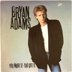 Пластинка Bryan Adams You Want It You Got It