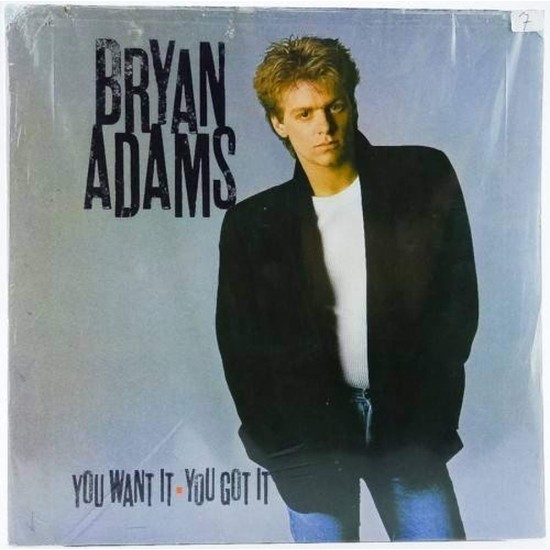 Пластинка Bryan Adams You Want It You Got It