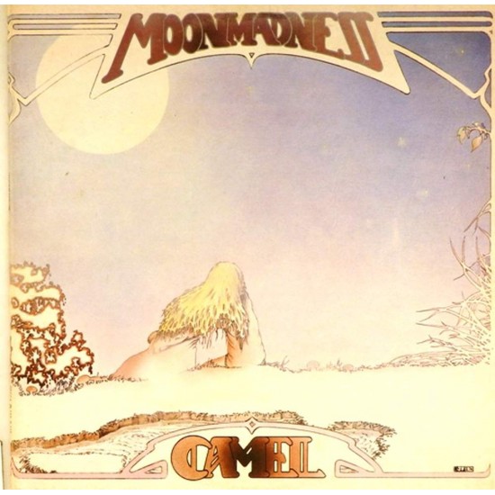 Пластинка Camel Moon Madness