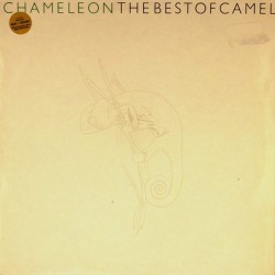 Пластинка Camel The best