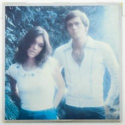 Пластинка Carpenters Horizon