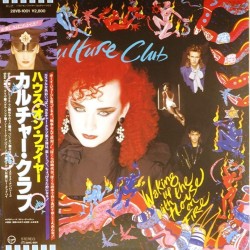 Пластинка Culture Club Waking Up with the House on Fire