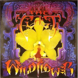 Пластинка Cult Wild Flower (45rpm)