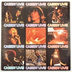 Пластинка David Cassidy Cassidy live