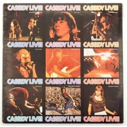 Пластинка David Cassidy Cassidy live