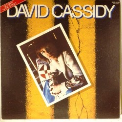 Пластинка David Cassidy Gettin' it in the street