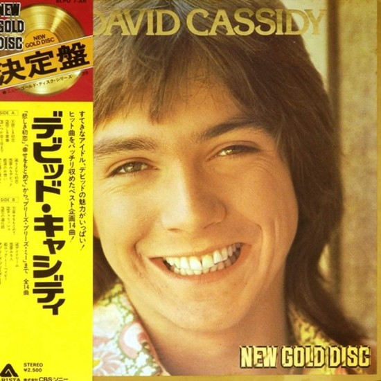 Пластинка David Cassidy New Gold Disc