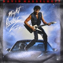 Пластинка David Hasselhoff Night Rocker