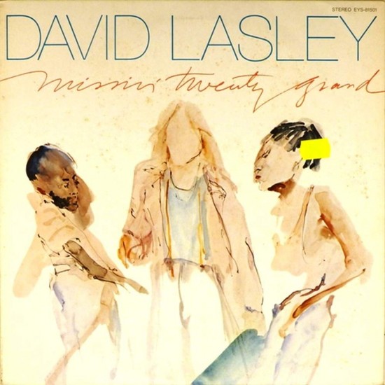 Пластинка David Lasley Missin' Twenty Grand