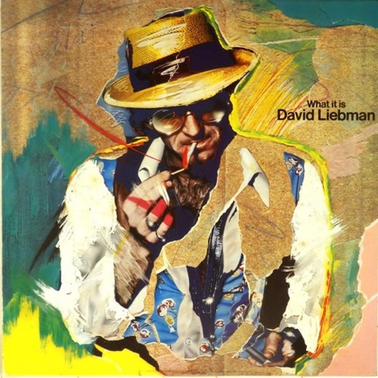 Пластинка David Liebman What it is David Liebman