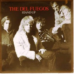 Пластинка Del Fuegos Stand Up