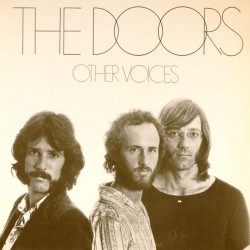 Пластинка Doors Other voices