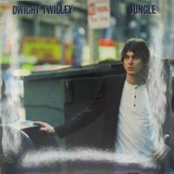 Пластинка Dwight Twilley Jungle