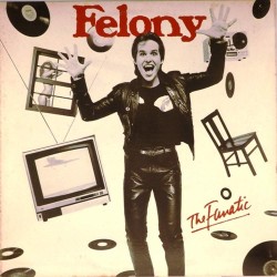 Пластинка Felony The Fanatic