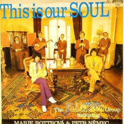 Пластинка Flamingo Group feat. Marie Rottrova & Petr Nemec This Is Our Soul
