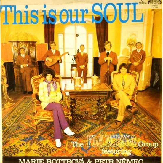 Пластинка Flamingo Group feat. Marie Rottrova & Petr Nemec This Is Our Soul