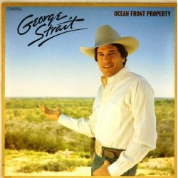 Пластинка George Strait Ocean Front Property