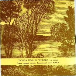 Пластинка Голоса птиц в природе Птицы средней полосы Европейской части РСФСР. 1 серия