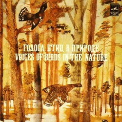 Пластинка Голоса птиц в природе Сборник (5LP 10")