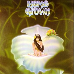 Пластинка Home Grown Сборник
