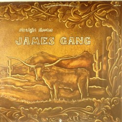 Пластинка James Gang ‎ Straight Shooter