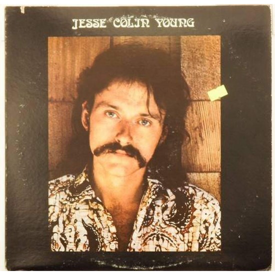 Пластинка Jesse Colin Young Song for Juli