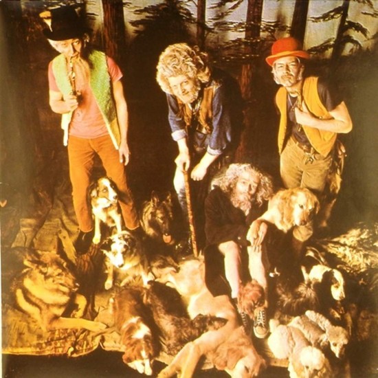 Пластинка Jethro Tull This Was