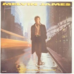 Пластинка Melvin James The passenger