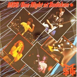 Пластинка Michael Schenker Group One night at Budokan (2LP)