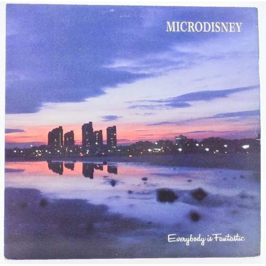 Пластинка Microdisney Everybody is fantastic