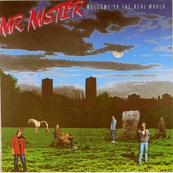 Пластинка Mr. Mister Welcome to the Real World
