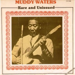 Пластинка Muddy Waters Rare And Unissued