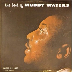 Пластинка Muddy Waters The best