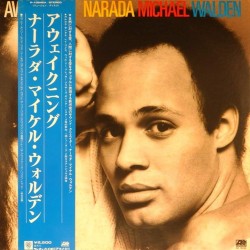 Пластинка Narada Michael Walden Awakening