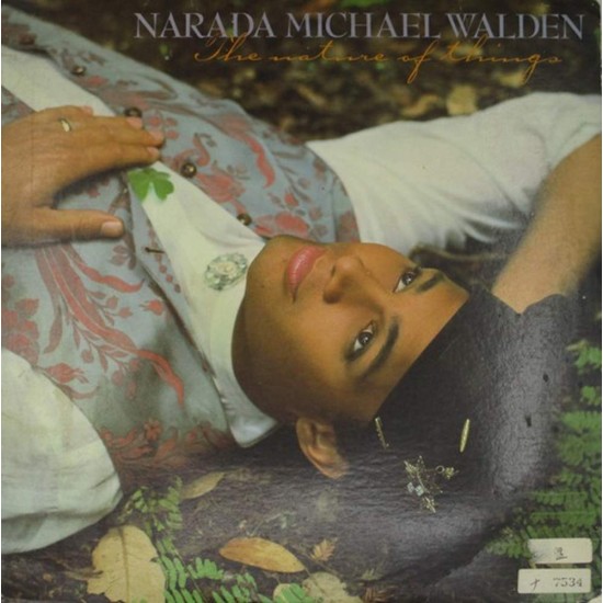 Пластинка Narada Michael Walden The Nature Of Things