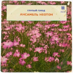 Пластинка Neoton Familia Неотон (Венгрия). Глупый город