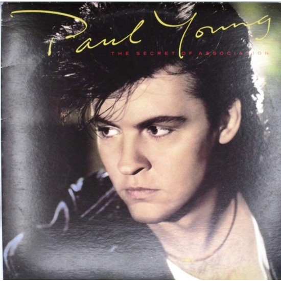 Пластинка Paul Young The Secret Of Association