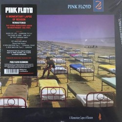 Пластинка Pink Floyd A Momentary Lapse of Reason