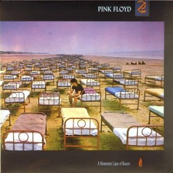 Пластинка Pink Floyd A Momentary Lapse of Reason