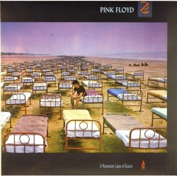 Пластинка Pink Floyd A Momentary Lapse of Reason